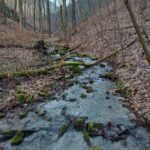 Csondró-völgy, Fotó: Papp Antónia