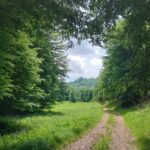 A Vállós-tanyához közeledve, Fotó: Papp Antónia