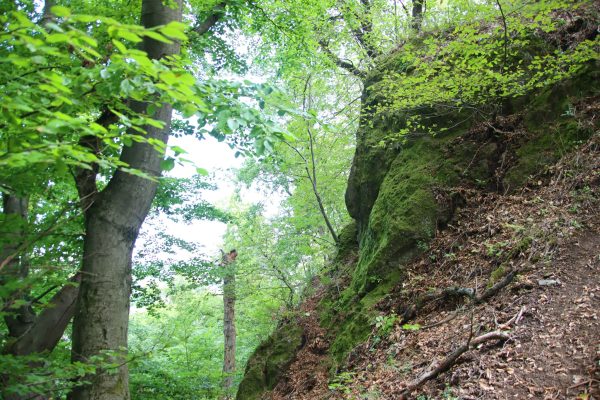 Fotó: Farkas Ferenc