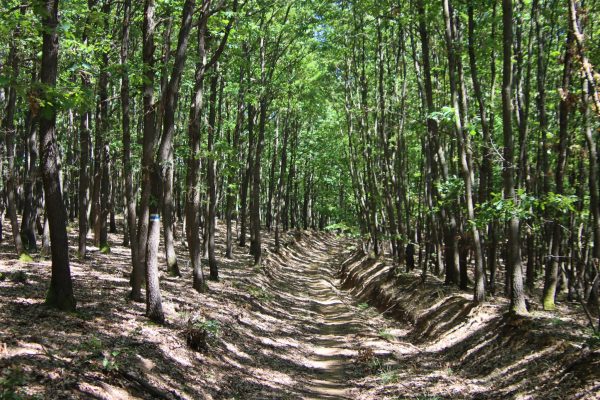 Fotó: Farkas Ferenc