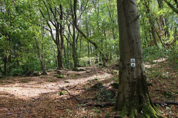 Fotó: Farkas Ferenc