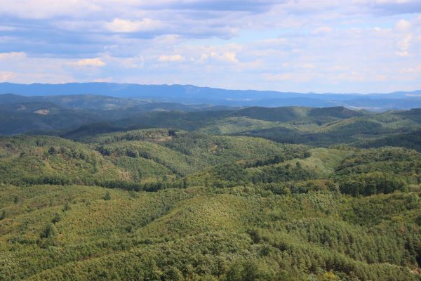 Fotó: Farkas Ferenc