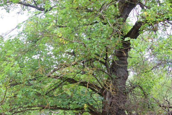 Fotó: Farkas Ferenc