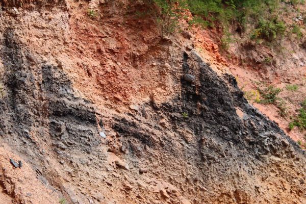 Fotó: Farkas Ferenc