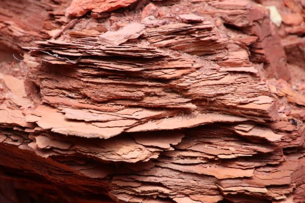 Fotó: Farkas Ferenc