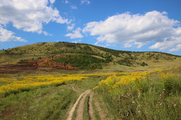 Fotó: Farkas Ferenc