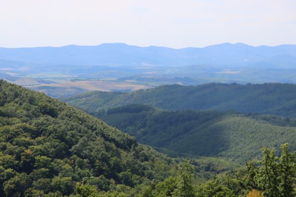 Fotó: Farkas Ferenc