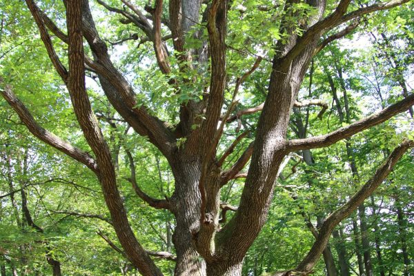 Fotó: Farkas Ferenc