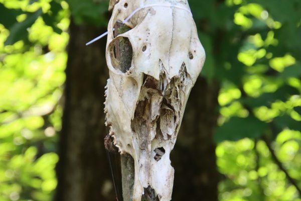 Fotó: Farkas Ferenc