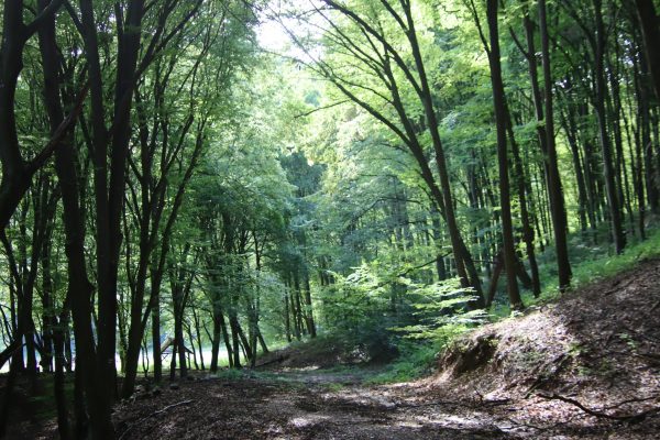 Fotó: Farkas Ferenc