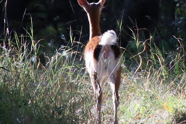 Fotó: Farkas Ferenc