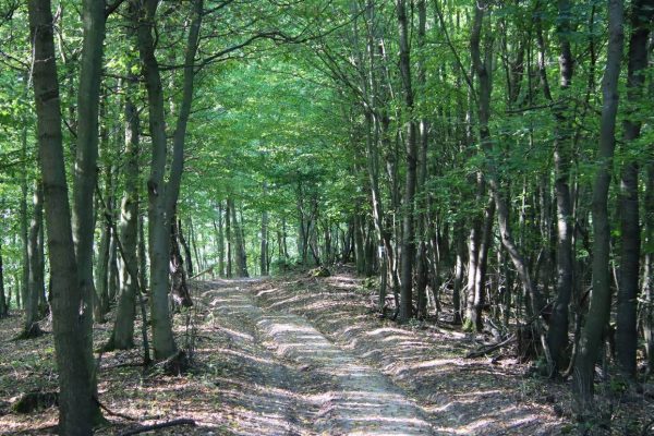 Fotó: Farkas Ferenc