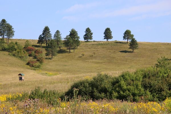 Fotó: Farkas Ferenc