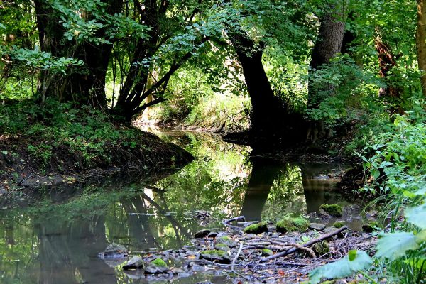 Fotó: Farkas Ferenc