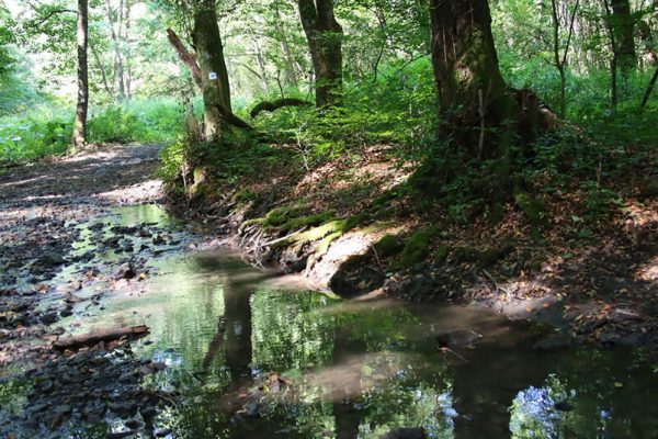 Fotó: Farkas Ferenc