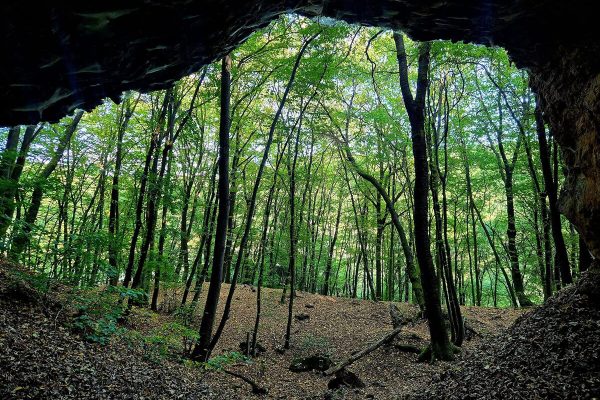 Fotó: Farkas Ferenc