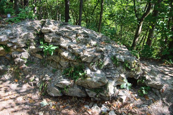 Fotó: Farkas Ferenc