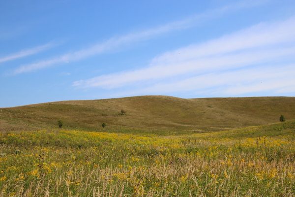 Fotó: Farkas Ferenc