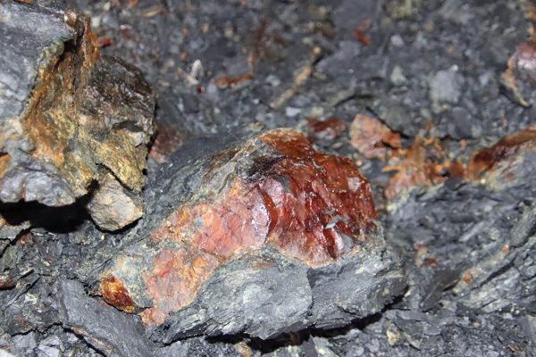 Fotó: Farkas Ferenc