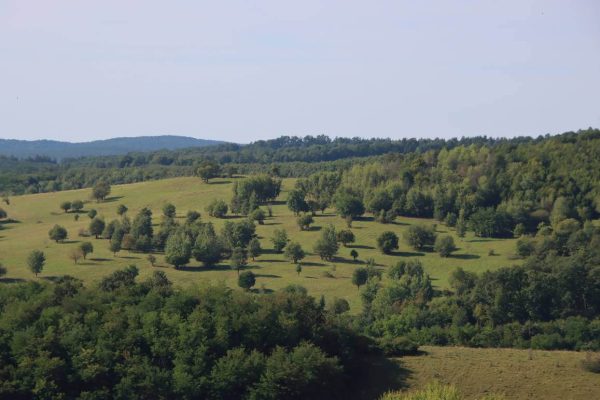 Fotó: Farkas Ferenc