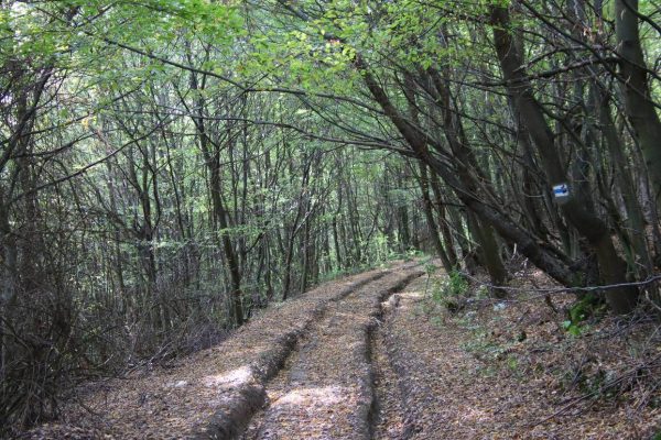 Fotó: Farkas Ferenc