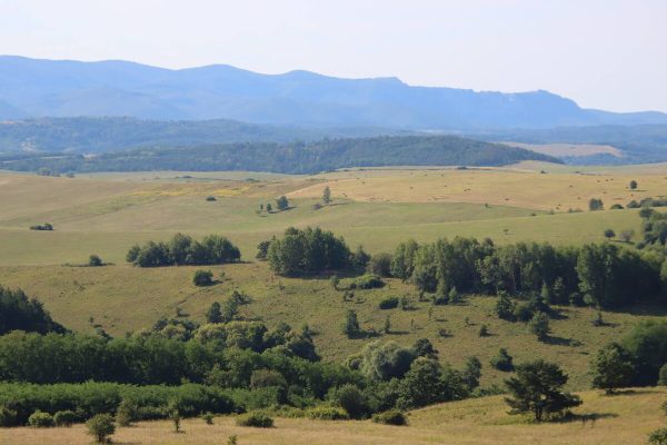 Fotó: Farkas Ferenc