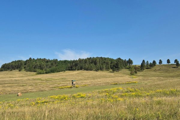 Fotó: Farkas Ferenc