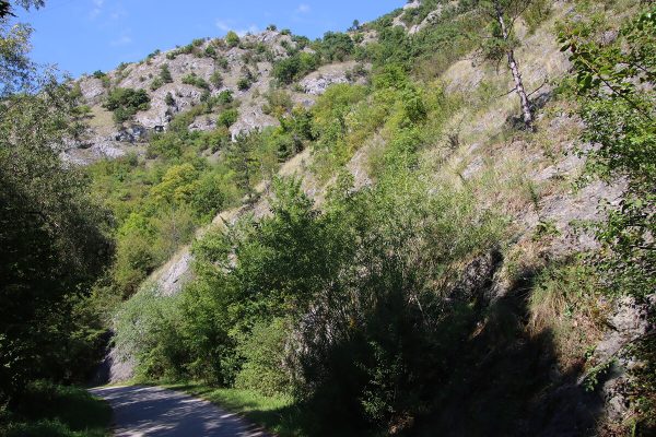 Fotó: Farkas Ferenc