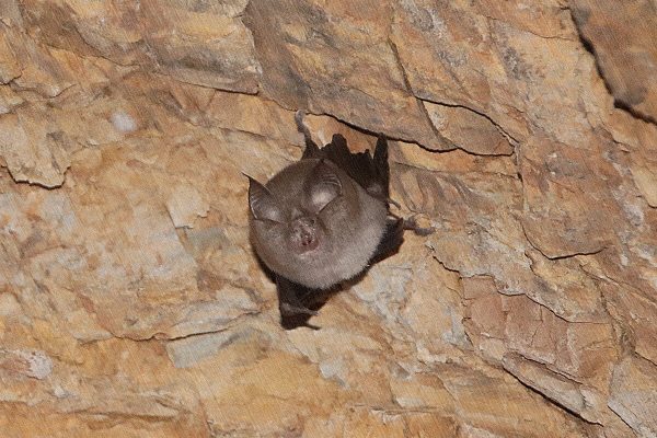 Fotó: Farkas Ferenc