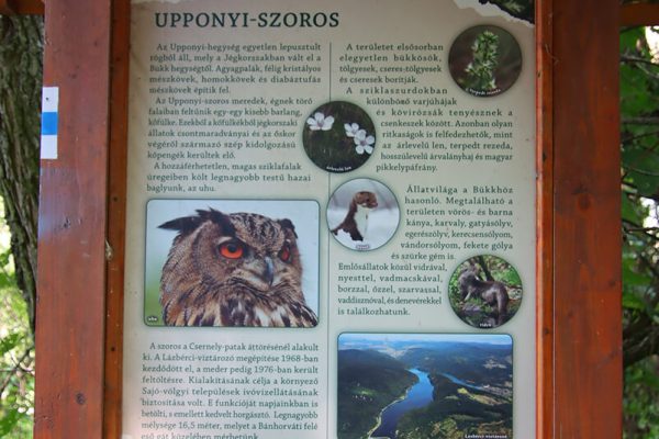 Fotó: Farkas Ferenc