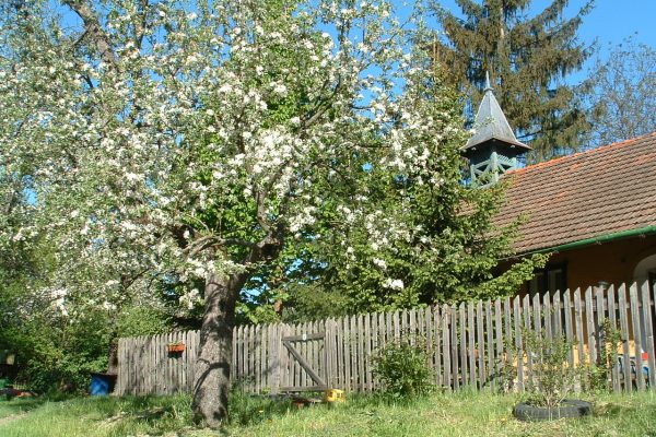 Ivánkapusztai ősgyümölcsös és a vadászkastély | Fotó: Grédics Szilárd