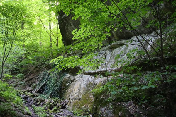 | Fotó: Farkas Ferenc