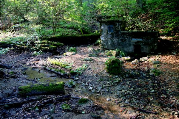 | Fotó: Farkas Ferenc