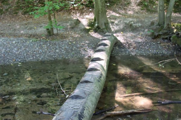 | Fotó: Farkas Ferenc