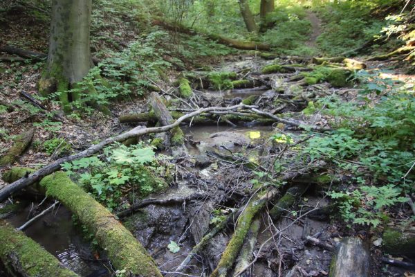 | Fotó: Farkas Ferenc