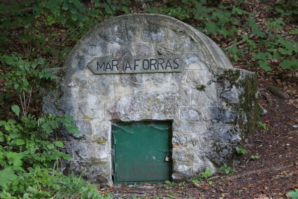 Mária forrás | Fotó: Farkas Ferenc