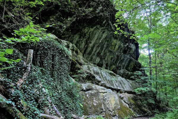 | Fotó: Farkas Ferenc