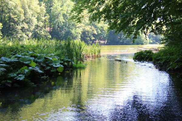 Hámori-tó | Fotó: Farkas Ferenc