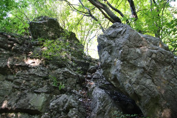 | Fotó: Farkas Ferenc