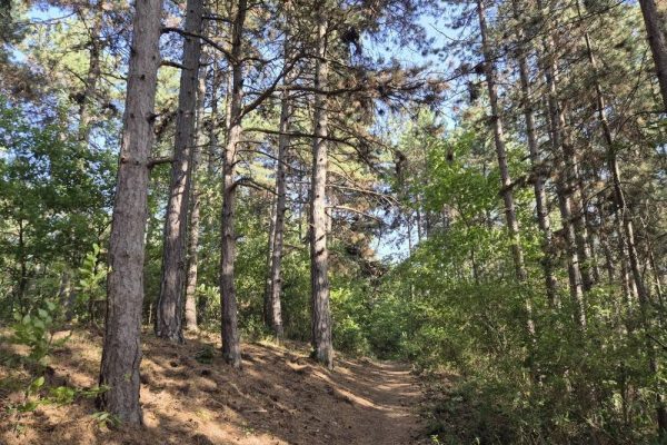 | Fotó: Farkas Ferenc