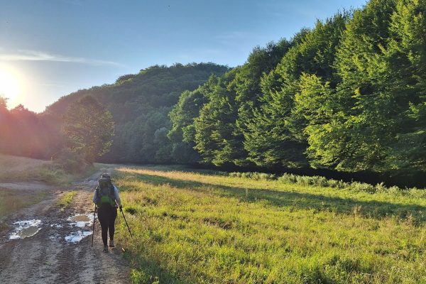 Fotó: Kovács Tímea és Karczagi Róbert