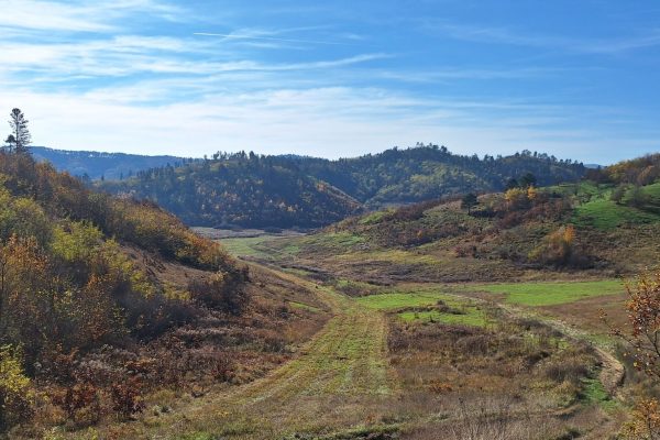 Fotó: Kovács Tímea és Karczagi Róbert